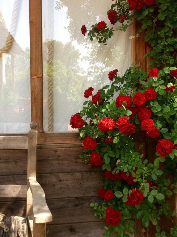 At Home In Maremma Istia dʼOmbrone Exterior foto