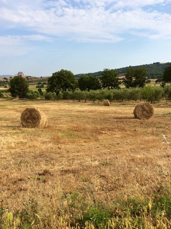 At Home In Maremma Istia dʼOmbrone Exterior foto
