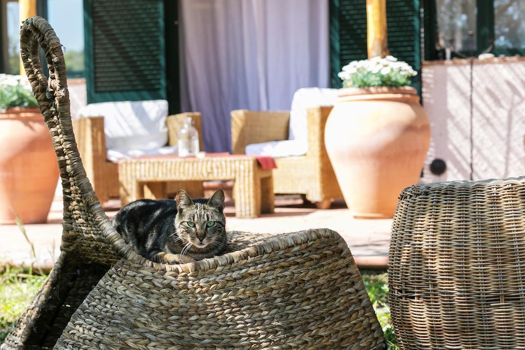 At Home In Maremma Istia dʼOmbrone Quarto foto